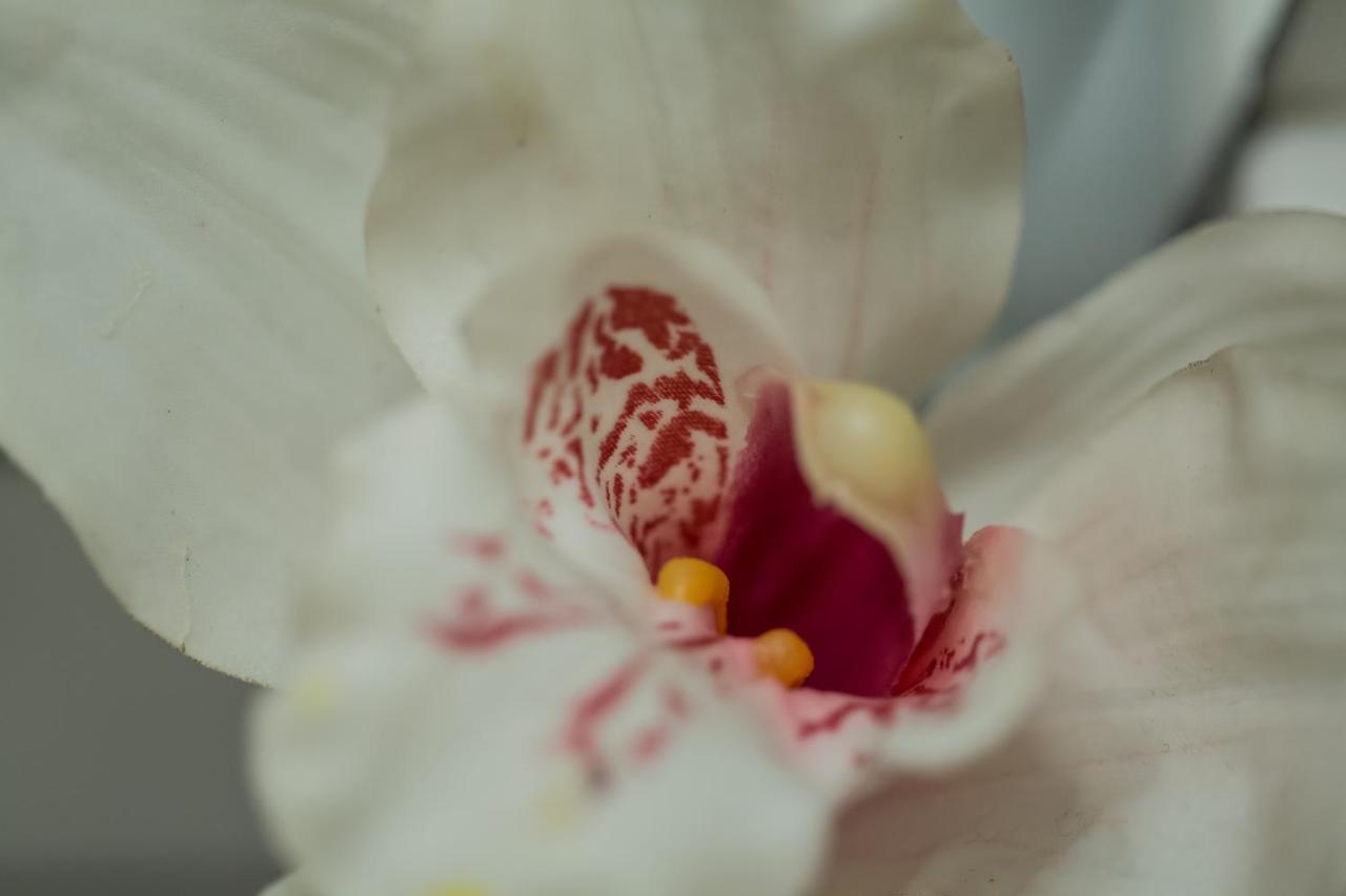 Iris Garden Retreat Aparthotel Corinth Ngoại thất bức ảnh
