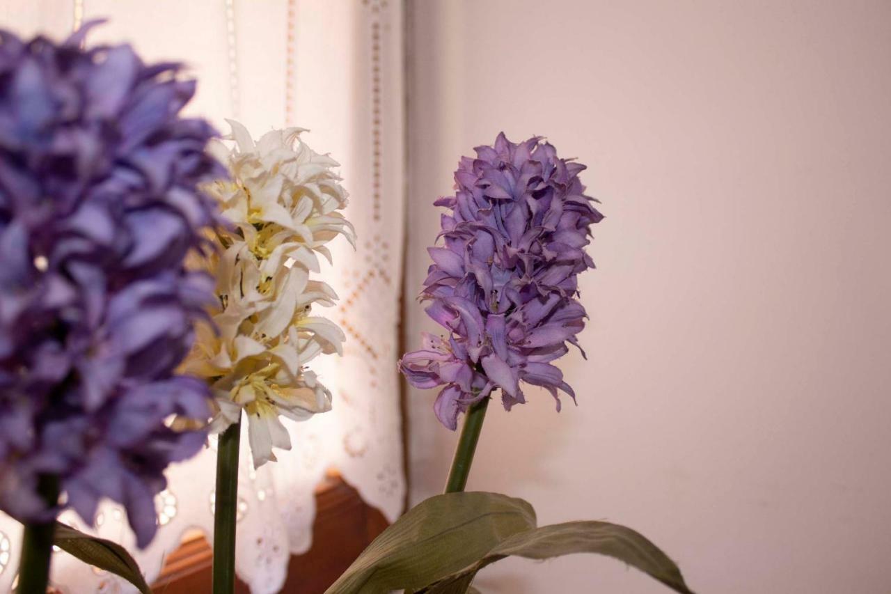 Iris Garden Retreat Aparthotel Corinth Ngoại thất bức ảnh